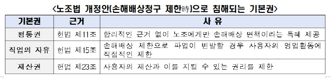 "노조법 개정안, 헌법상 평등권 침해·직업의 자유 제한"