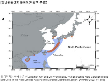 제주 산호 서식지에 열대·아열대성 ‘빛단풍돌산호’ 대규모 확산