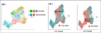 간섬유화 진행 단계별 발병기전 규명