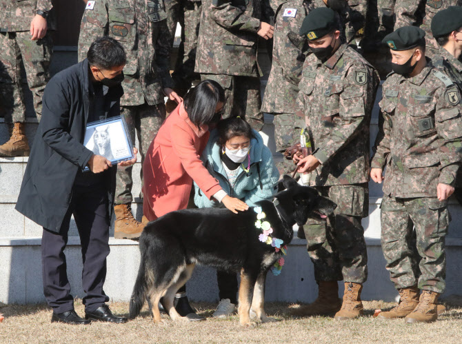 조은누리 양 목숨 구한 군견 달관이 은퇴…경계 보조견으로 제2의 '견생'