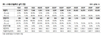 LG에너지솔루션, 내년 2~3월 이후 주가 반등 -NH