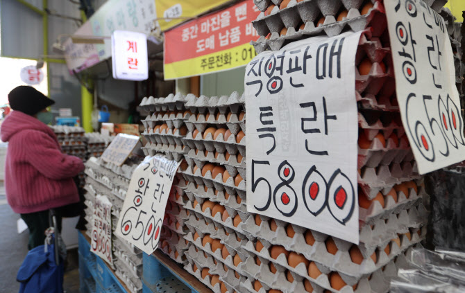 AI 확산에…고위험 하천 인근 산란계농장 방역 강화