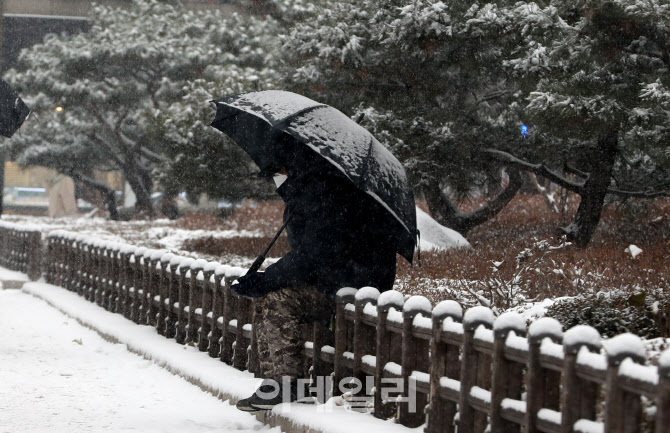 [포토]펑펑 내리는 흰 눈