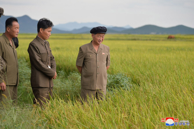 "北, 지난달 중국에 쌀 3만톤 수입…3년 2개월 만 최대치"