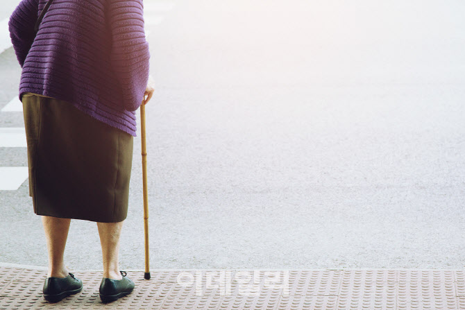 인권위, '교통사고 위험' 노인 보호 권고…행안부·경찰청 수용