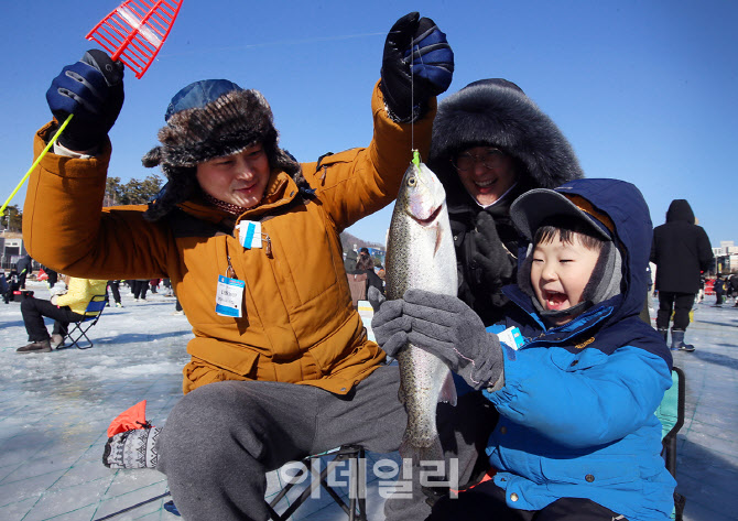 [포토] 평창군 송어축제 개막