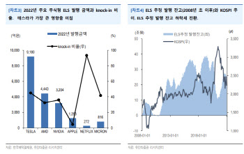 "테슬라 급락에 ELS도 대규모 녹인 구간 진입"