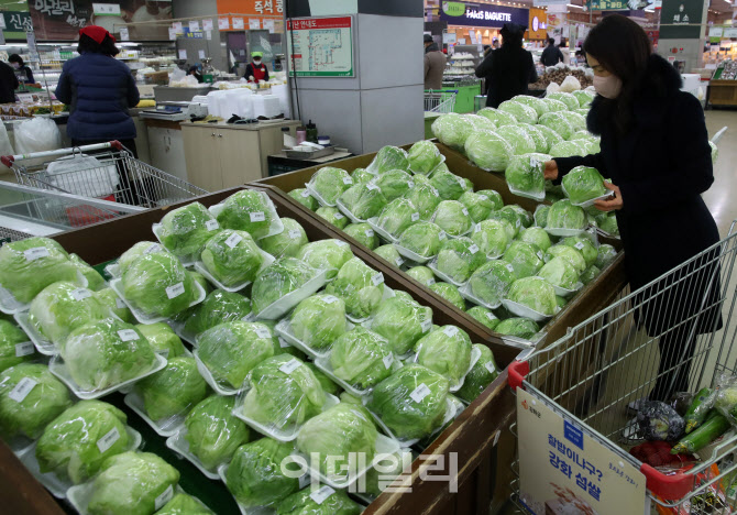 [포토] 설 명절 앞두고 채소류 가격 비상