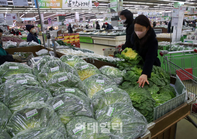 [포토] 한파로 작황부진 가격 상승으로 이어져...