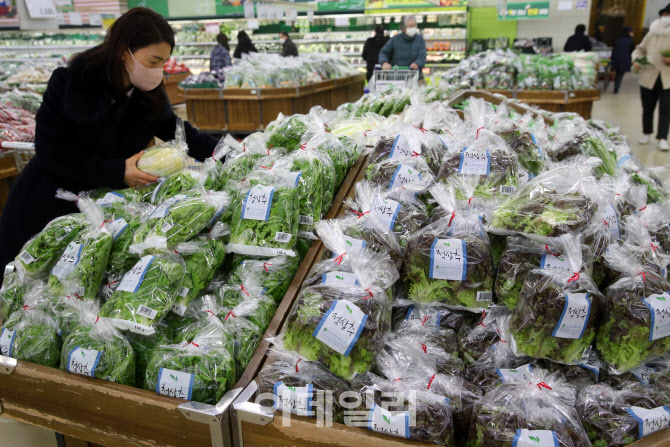 [포토] 채소류 가격 상승으로 물가 비상