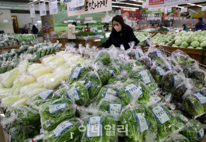 [포토] 한파로 채소류 가격 상승