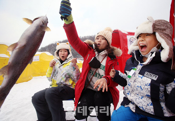 [포토] 평창군 송어축제