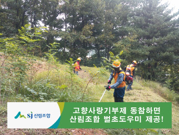 "고향에 기부하고, 무료로 벌초서비스 받으세요"