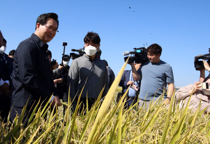 밀 대체할 가루쌀 집중 육성…신품종 육성하고 기술체계 구축