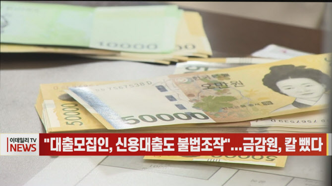 (영상)"대출모집인, 신용대출도 불법조작"...금감원, 칼 뺐다