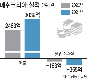 혼돈의 메쉬코리아…대표이사 교체로 새 국면 맞나