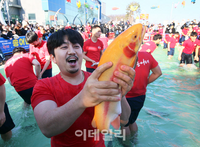 [포토] 평창송어축제, 설 연휴 꽝 없는 이벤트