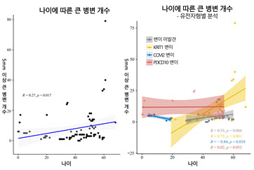 나이 많은 가족성 해면상혈관종 환자, 증상 악화 가능성 높아