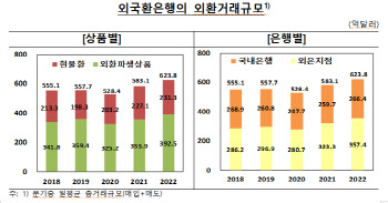 작년 일평균 외환거래액 624억달러…1년 만에 최대치 경신