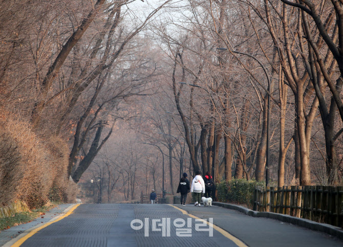 [포토] 남산공원 산책길