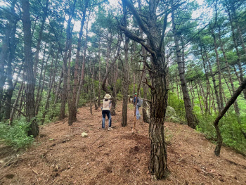 산불 예방에 동참하고 국유림 내 임산물 판매 소득까지