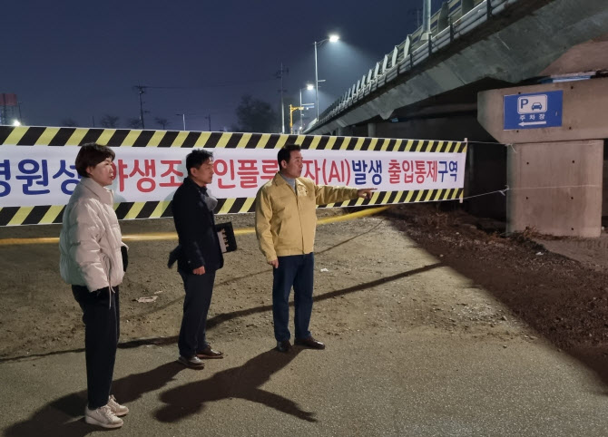 포천 야생조류서 고병원성AI 검출…市 "확산저지 총력"