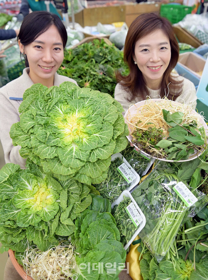 [포토] 하나로마트, 제철 봄나물 선보여..