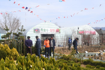 산림조합중앙회, 4월까지 전국 126개 나무시장 운영