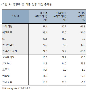 "중형주 종목장세, 올해 지속될 것…낙폭과대 실적株 대안"
