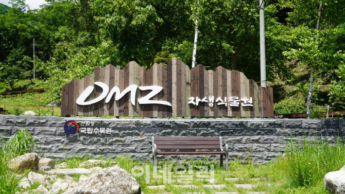 'DMZ자생식물원' 구글서 한눈에…국립수목원, 온라인 전시