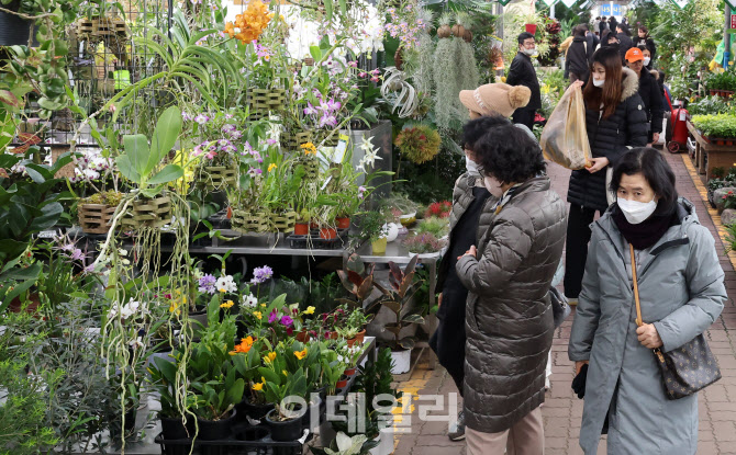 [포토]“봄 사세요”… 나무시장 ‘활짝’