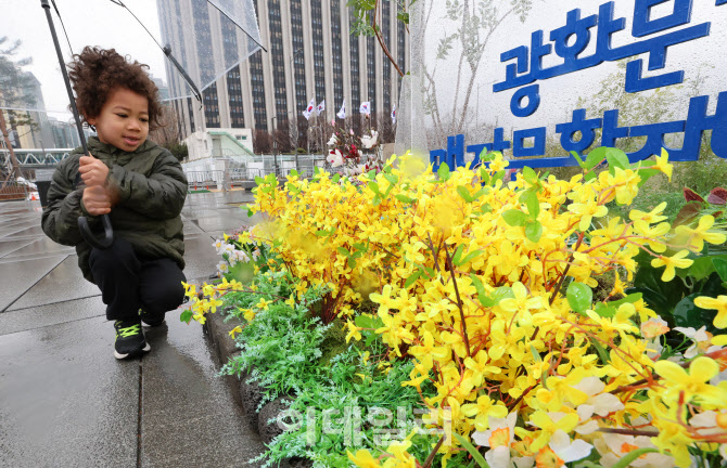 [포토]어린이 발길 사로잡은 노란 개나리