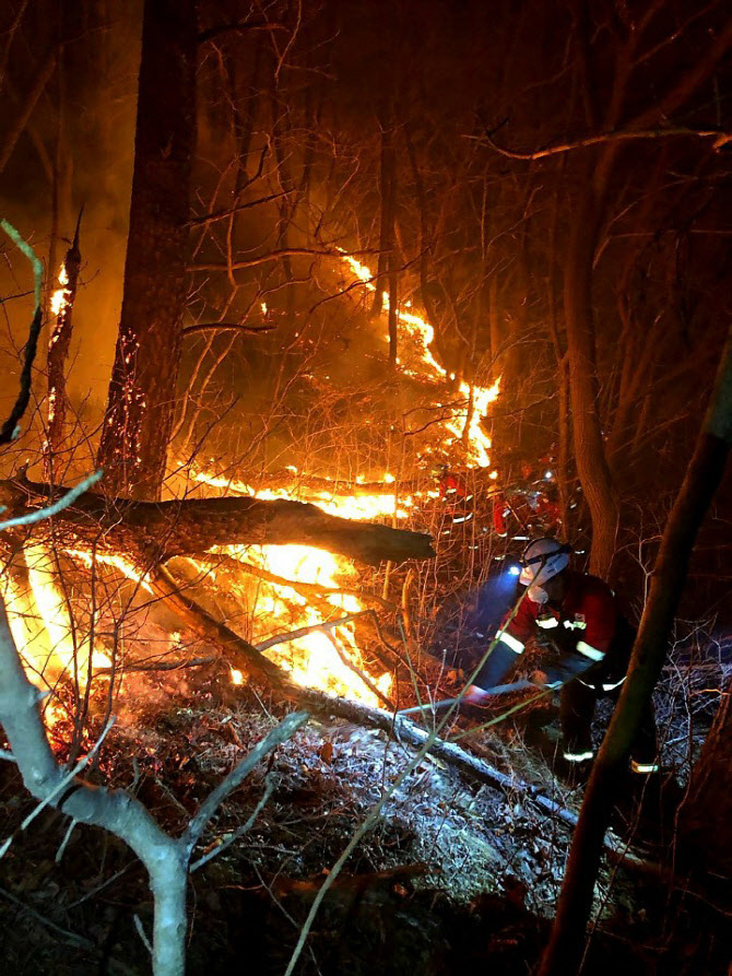 하동 산불로 민가 3채 소실…산불 원인 조사 계획