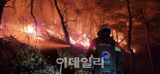 경북 예천산불, 18시간만에 큰 불길 잡혀…산림 37㏊ 피해