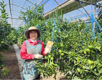 세븐일레븐, 강소농 손잡고 지역 특화 농산물 살린다