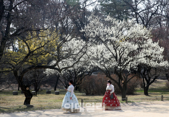 [포토] 고궁 나들이