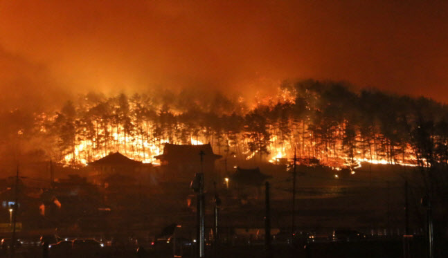 강원 4개 지역서 동시다발적 산불…일부 야간진화 중