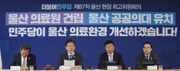 울산 찾은 민주당 "땅이 유명한 울산, 김기현 문제된 땅은 어디에?"