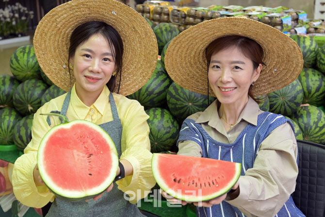 [포토] 함안 수박 올해 첫 출하