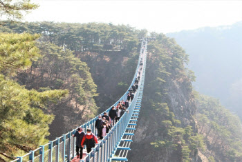 원주 소금산 출렁다리 인근서 추락사…"10대 청소년 추정"