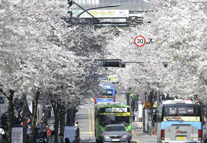 따뜻한 날씨에 벚꽃놀이 인파 '북적'…부산까지 6시간30분