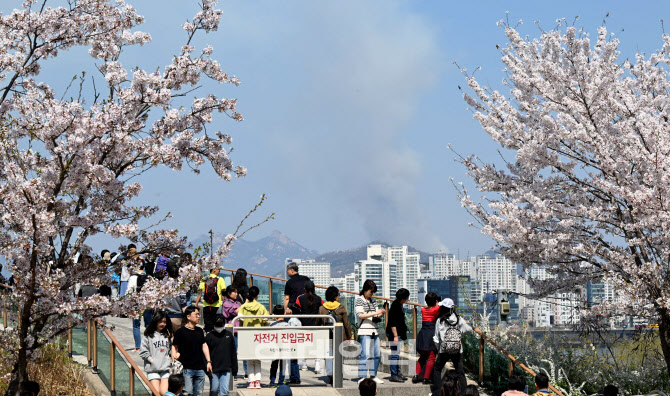 [포토]여의도 벚꽃길에서도 보이는 인왕산 불