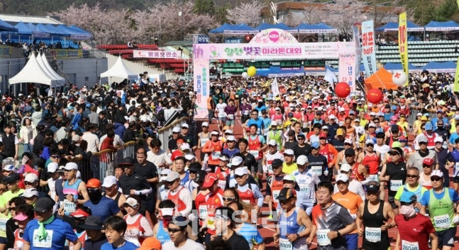 4년 만에 재개 '합천 벚꽃 마라톤대회'… 역대 최대 인원 참가
