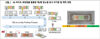 “생체실험 없이도 당뇨병 연구”... 제2형 당뇨병 모사 칩 개발