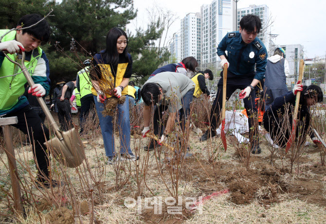 [포토] 민관학 식목일 나무심기