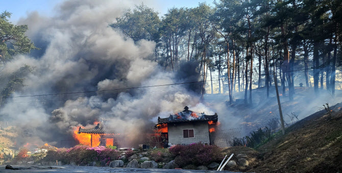 [포토] 강릉서 산불…주택에 번진 불길