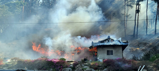 [포토] 강릉서 산불…주택 화재
