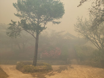 강풍에 강릉 산불 확산…문화재청 "보물 경포대 현판 옮기는 중"