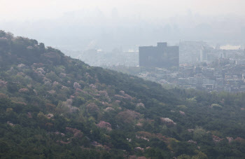 서울시, 오늘 오전 11시 기준 미세먼지 주의보 해제