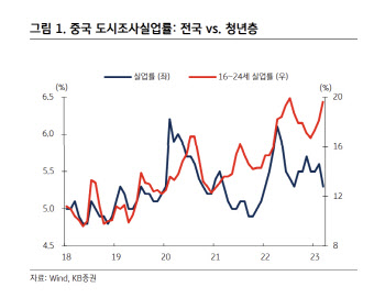 “中, 청년 실업률 상승세…빅테크 기업 역할 확대될것”